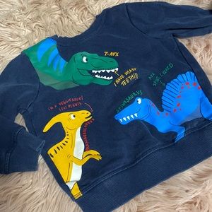 Boys Dino Sweater